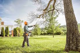 Best Lawn Pest Prevention  in Collinsville, TX