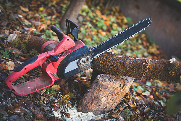 Best Weed Control  in Collinsville, TX